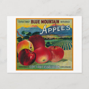 Blue Mountain Apple Crate LabelCove, OR Postkarte