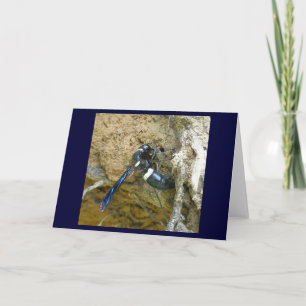 Blue Mud Dauber Wasp Note Card Karte