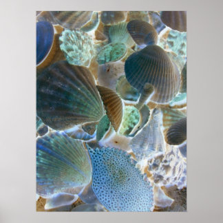 Blue Muscheln Leinwand Art Poster
