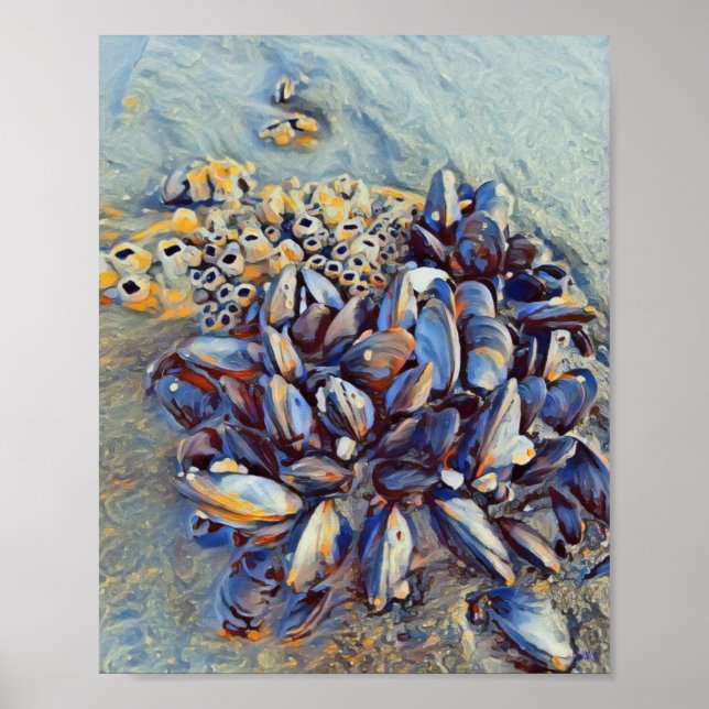Blue Mussel 8 x 10 Canvas Print Poster (Vorne)