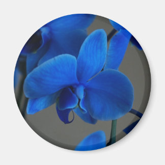Blue Mystique Magnet