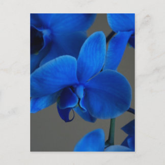 Blue Mystique Postkarte