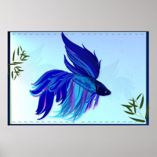 Blue 'n' White Siamese Fighting Fish Posters Poster