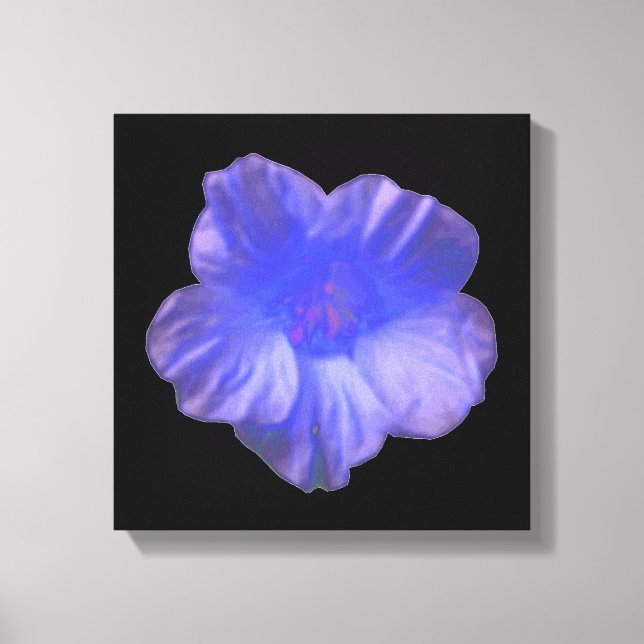 Blue Nasturtium Blume Canvas Print Leinwanddruck (Vorderseite)
