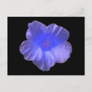 Blue Nasturtium Blume Postkarte