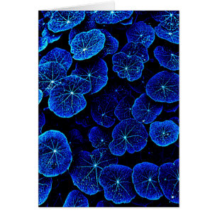 Blue Nasturtium leaves flower card