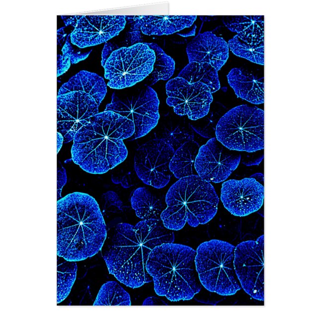 Blue Nasturtium leaves flower card (Vorne)