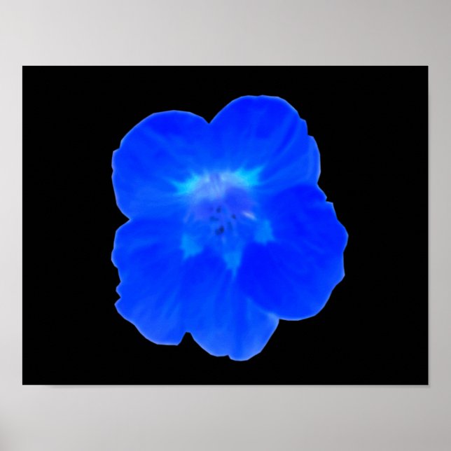 Blue Nasturtium Print Poster (Vorne)