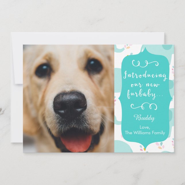 Blue New Furbaby Ankündigung (Vorderseite)