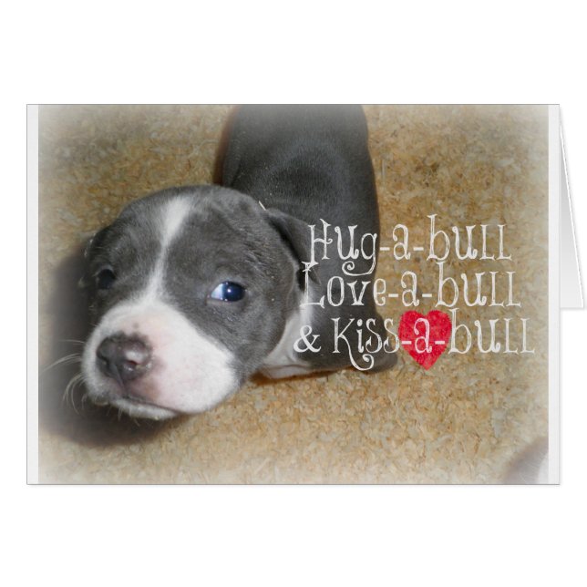 Blue Nose Hugs (Vorderseite (Horizontal))