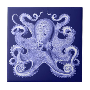 Blue Octopus Nautical Beach House Coastal Haeckel Fliese