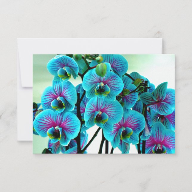 Blue Orchid Blume Bouquet Dankeskarte (Vorderseite)