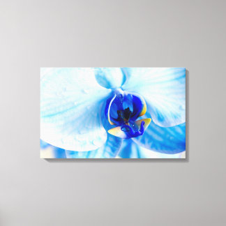 Blue Orchid Canvas Print Leinwanddruck
