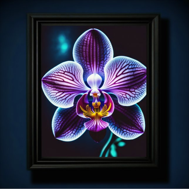 Blue Orchid Poster (Von Creator hochgeladen)