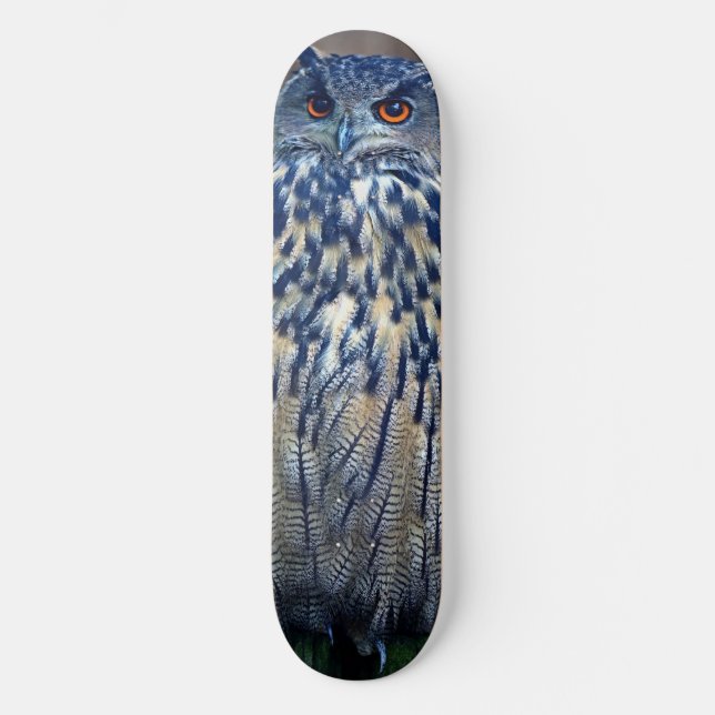 Blue Owl Skateboard Deck (Vorderseite)