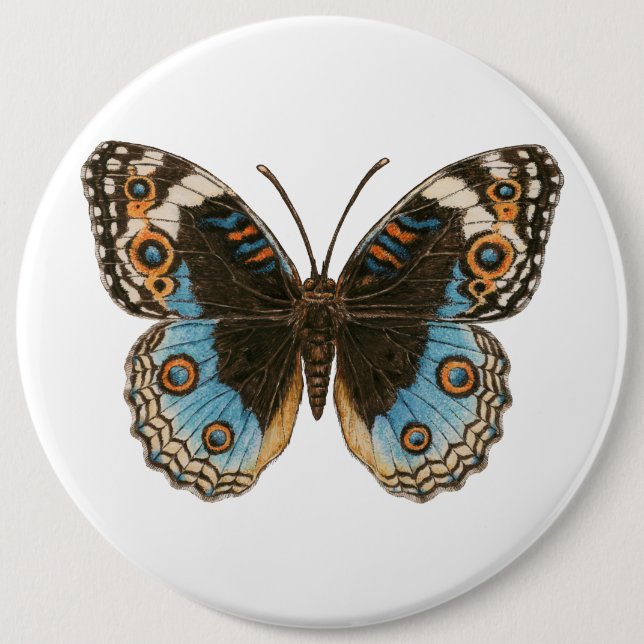 Blue Pansy Butterfly Button (Vorderseite)