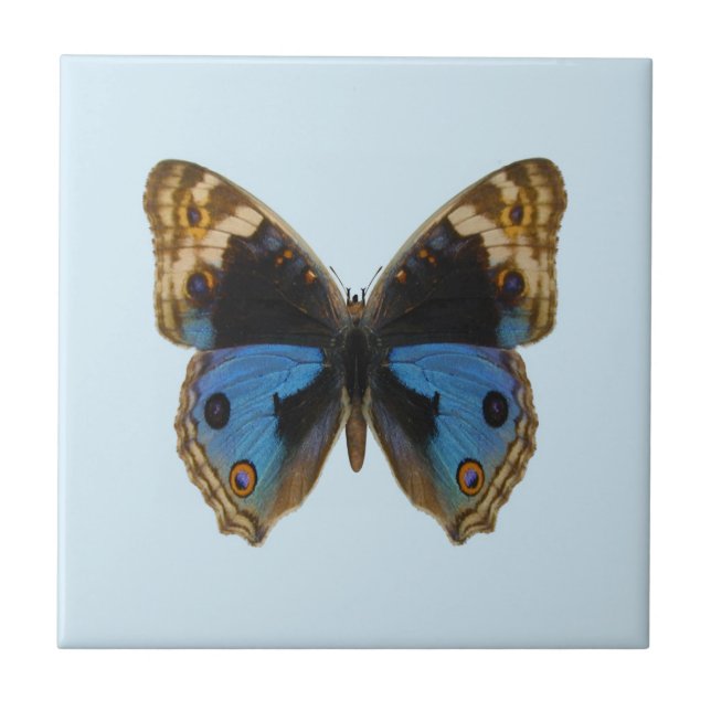 Blue Pansy Butterfly Fliese (Vorderseite)