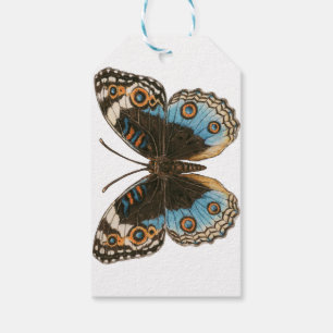 Blue Pansy Butterfly Geschenkanhänger