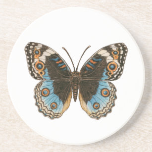 Blue Pansy Butterfly Getränkeuntersetzer