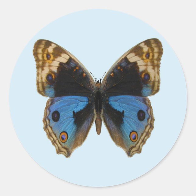 Blue Pansy Butterfly Runder Aufkleber (Vorderseite)