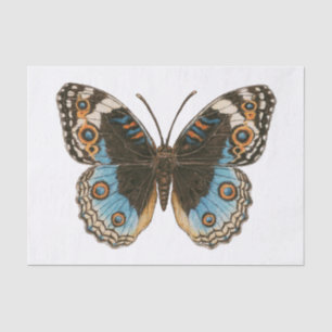 Blue Pansy Butterfly Seidenpapier