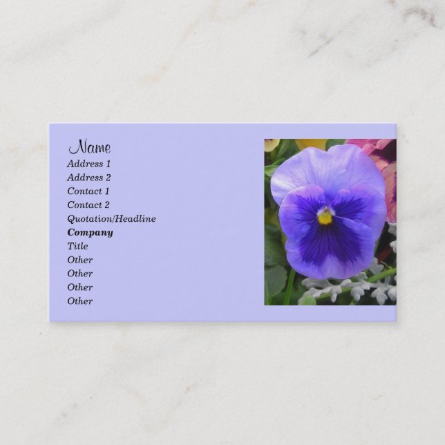 Blue Pansy, Gardener Visitenkarte (Vorderseite)