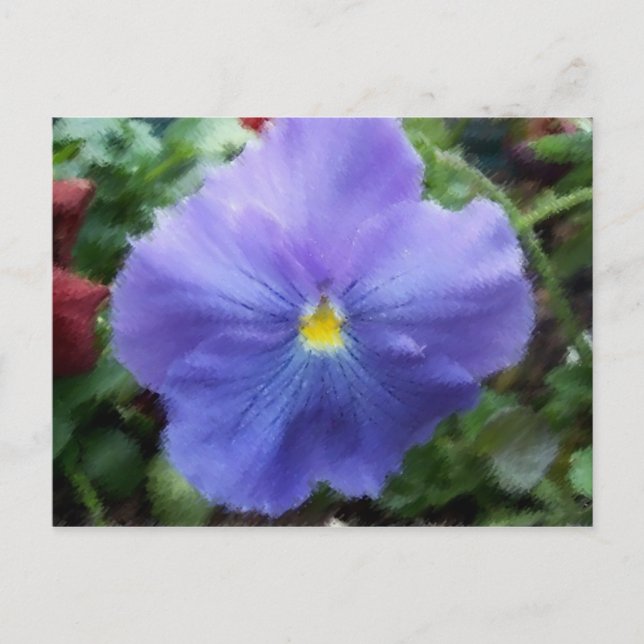 Blue Pansy Postcard Postkarte (Vorderseite)