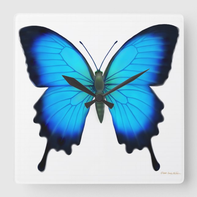 Blue Papilio Ulysses Butterfly Wall Clock Quadratische Wanduhr (Vorderseite)