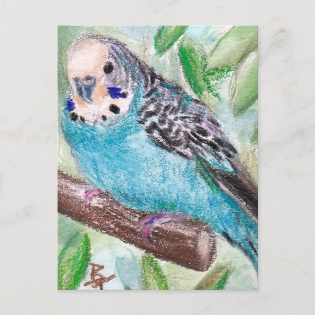 Blue Parakeet Postcard Postkarte (Vorderseite)