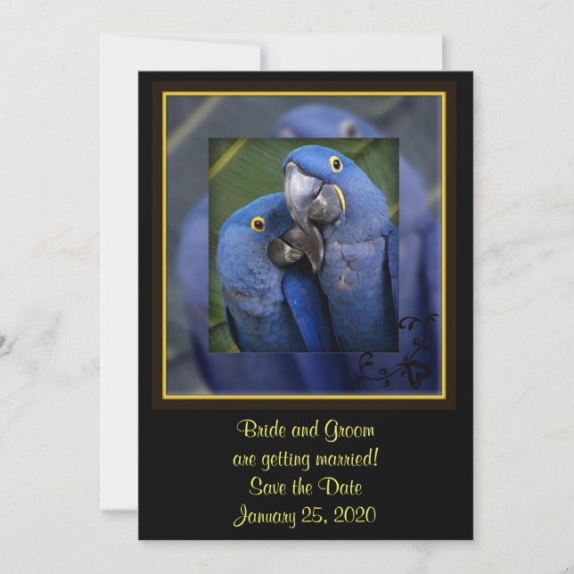 Blue Parrot Wedding Save The Date (Vorderseite)