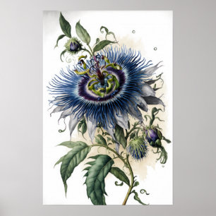 Blue Passion Blume Art Print Poster