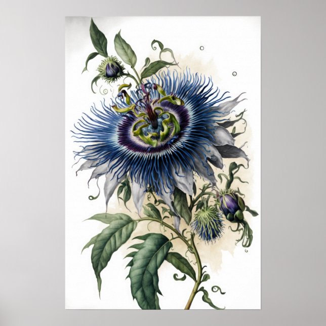 Blue Passion Blume Art Print Poster (Vorne)