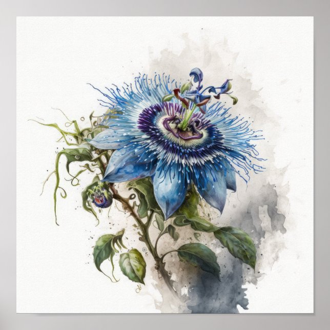 Blue Passion Blume Art Print Poster (Vorne)