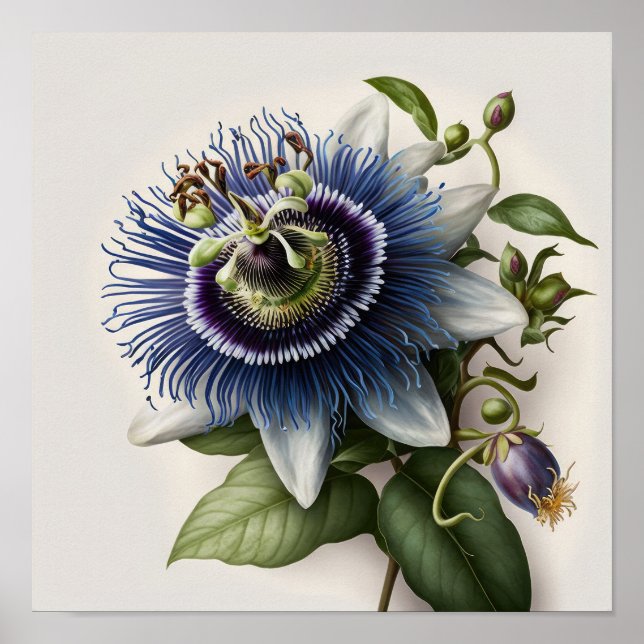 Blue Passion Blume Art Print Poster (Vorne)