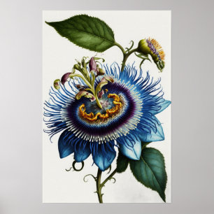 Blue Passion Blume Art Print Poster
