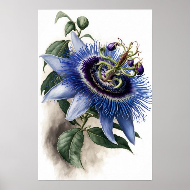 Blue Passion Blume Art Print Poster (Vorne)
