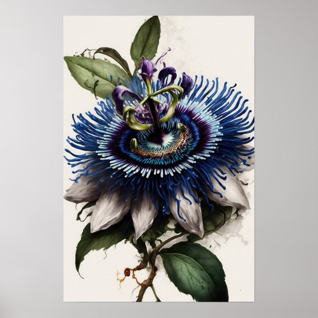 Blue Passion Blume Art Print Poster (Vorne)
