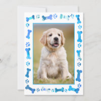 Blue Paw druckt neue Dog Puppy-Dusche