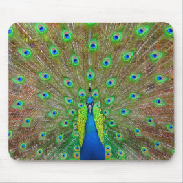 Blue Peacock #3 Mouse Pad Mousepad