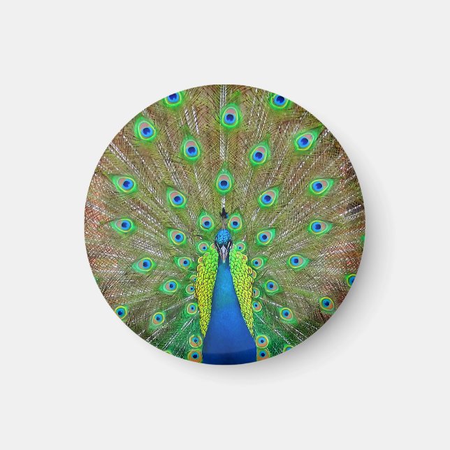 Blue Peacock #3 Round Magnet (Vorne)