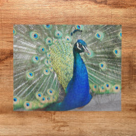 Blue Peacock Fantail Feathers Foto Puzzle