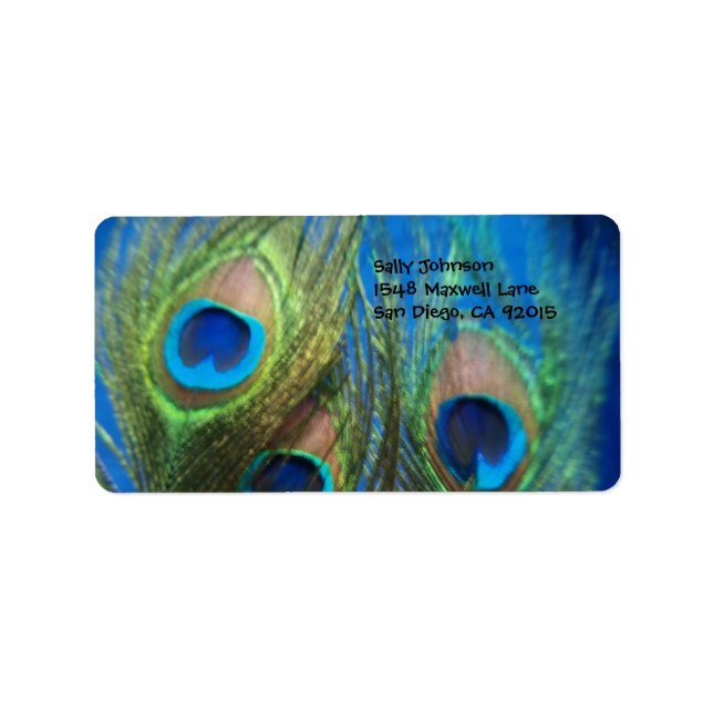 Blue Peacock Feathers Adressaufkleber (Vorne)