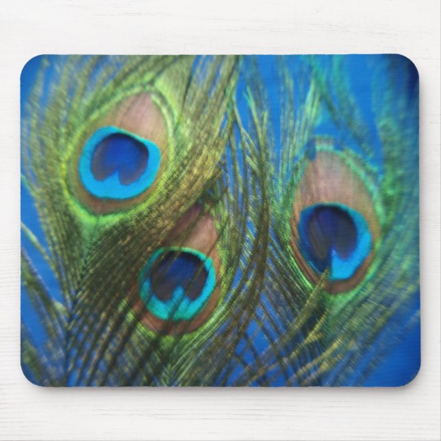 Blue Peacock Feathers Mousepad (Vorne)