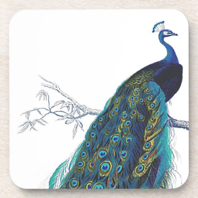 Blue Peacock mit wunderschönen Federn aus Schwanz Getränkeuntersetzer (Vorderseite)