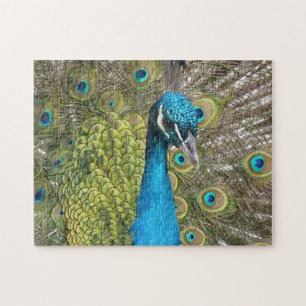 Blue Peacock Puzzle