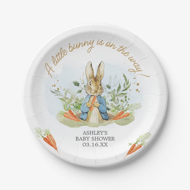 Blue Peter Rabbit Baby Dusche Pappteller (Vorderseite)