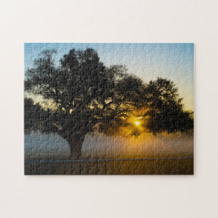 Blue Peter Tree Sunrise Puzzle