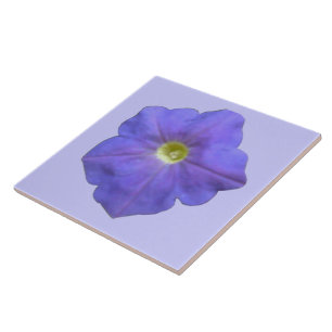 Blue Petunia Tile Fliese