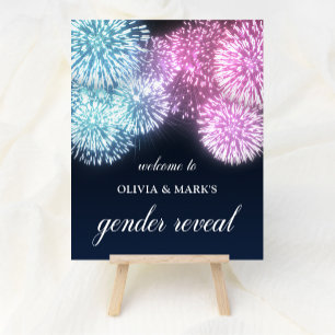Blue Pink Firework Gender Reveal Willkommen Poster