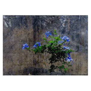 Blue Plumbago Blume Schneidebrett